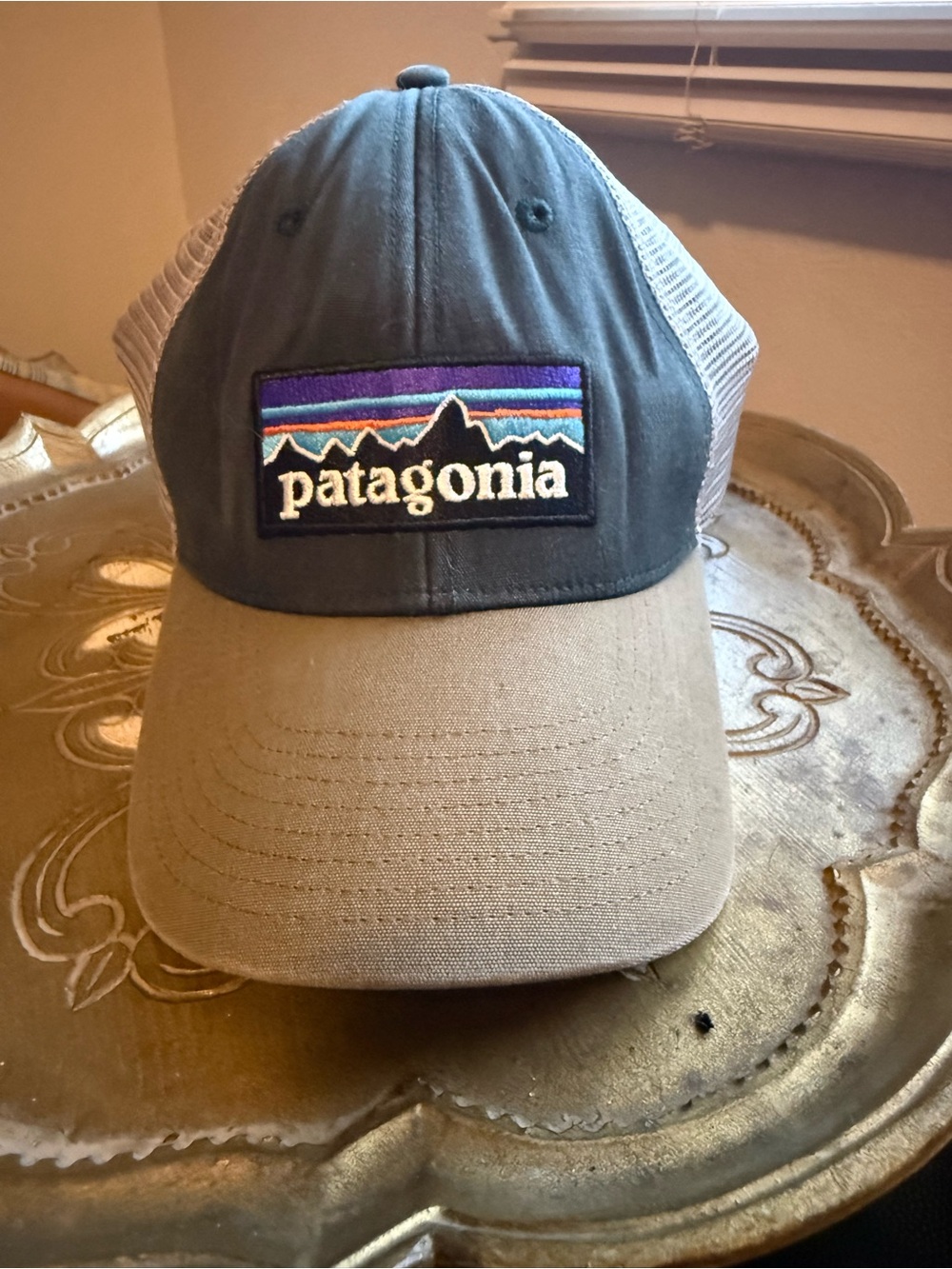 Patagonia Two-Tone Trucker Hat in Gray and Tan with Patch Logo